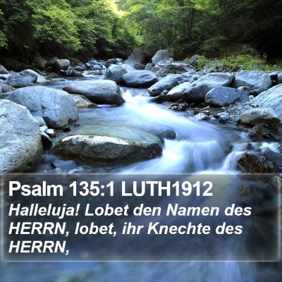 Psalm 135:1 LUTH1912 Bible Verse Image