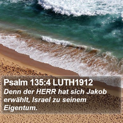 Psalm 135:4 LUTH1912 Bible Verse Image