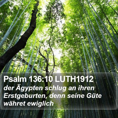 Psalm 136:10 LUTH1912 Bible Verse Image