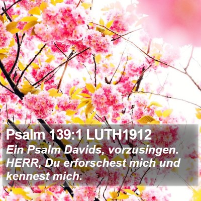 Psalm 139:1 LUTH1912 Bible Verse Image