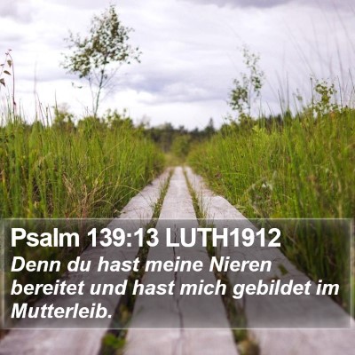 Psalm 139:13 LUTH1912 Bible Verse Image