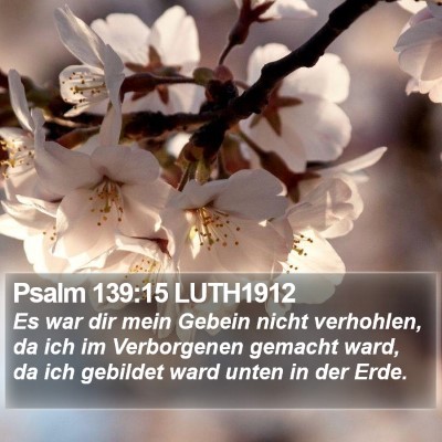 Psalm 139:15 LUTH1912 Bible Verse Image