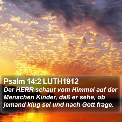 Psalm 14:2 LUTH1912 Bible Verse Image
