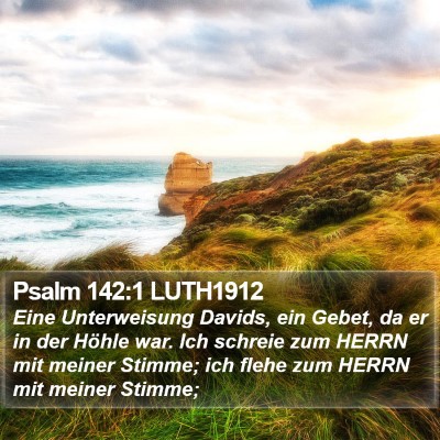 Psalm 142:1 LUTH1912 Bible Verse Image