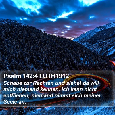 Psalm 142:4 LUTH1912 Bible Verse Image
