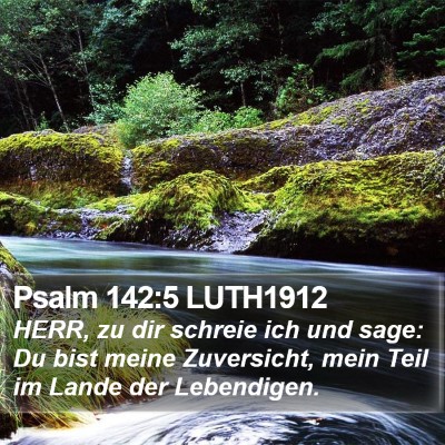 Psalm 142:5 LUTH1912 Bible Verse Image
