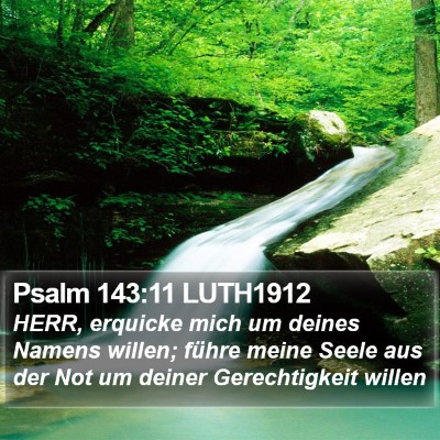 Psalm 143:11 LUTH1912 Bible Verse Image