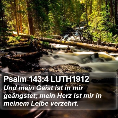 Psalm 143:4 LUTH1912 Bible Verse Image