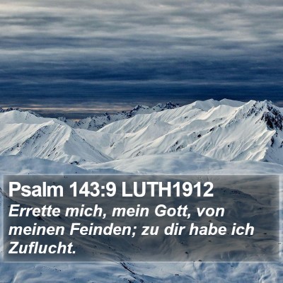 Psalm 143:9 LUTH1912 Bible Verse Image