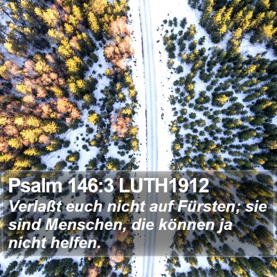 Psalm 146:3 LUTH1912 Bible Verse Image