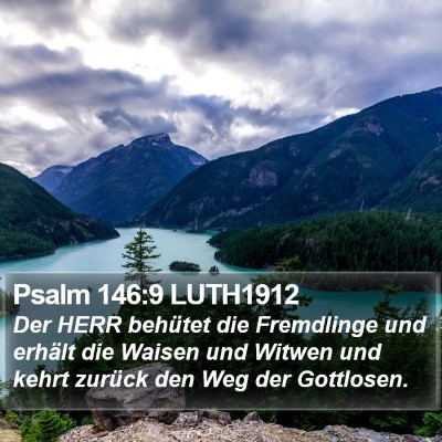 Psalm 146:9 LUTH1912 Bible Verse Image
