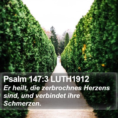 Psalm 147:3 LUTH1912 Bible Verse Image