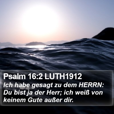 Psalm 16:2 LUTH1912 Bible Verse Image