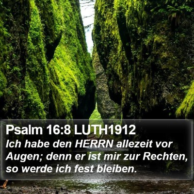Psalm 16:8 LUTH1912 Bible Verse Image
