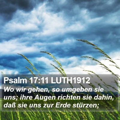 Psalm 17:11 LUTH1912 Bible Verse Image