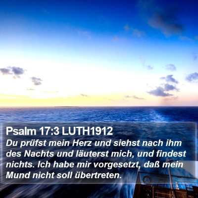 Psalm 17:3 LUTH1912 Bible Verse Image
