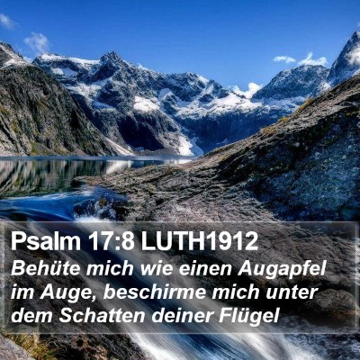 Psalm 17:8 LUTH1912 Bible Verse Image