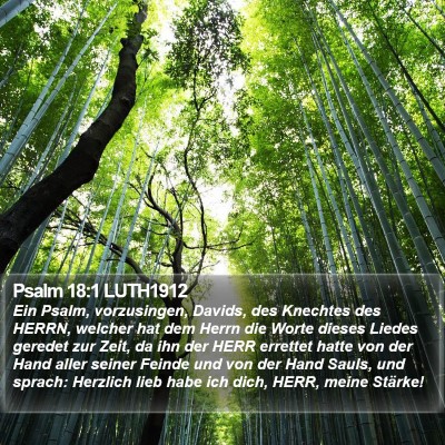 Psalm 18:1 LUTH1912 Bible Verse Image