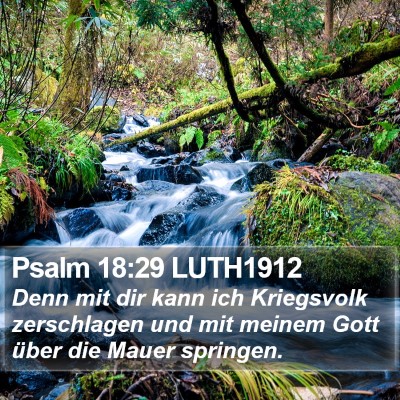 Psalm 18:29 LUTH1912 Bible Verse Image
