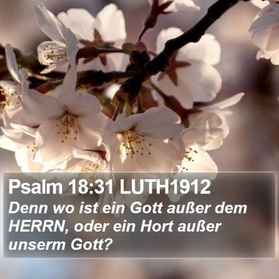 Psalm 18:31 LUTH1912 Bible Verse Image