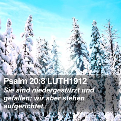 Psalm 20:8 LUTH1912 Bible Verse Image