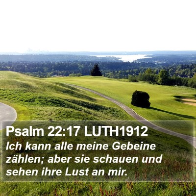 Psalm 22:17 LUTH1912 Bible Verse Image