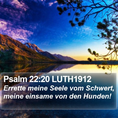 Psalm 22:20 LUTH1912 Bible Verse Image