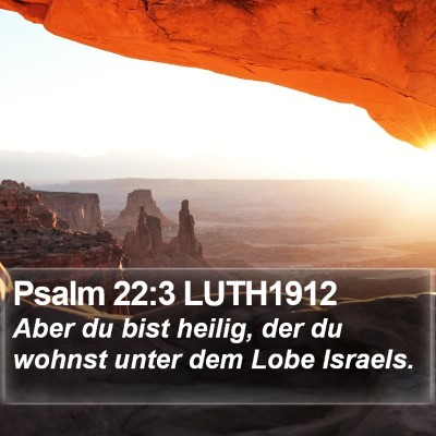 Psalm 22:3 LUTH1912 Bible Verse Image