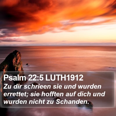Psalm 22:5 LUTH1912 Bible Verse Image