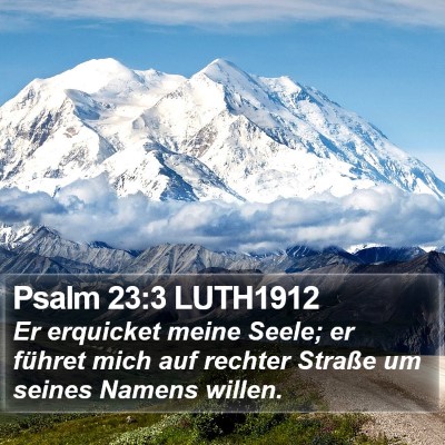 Psalm 23:3 LUTH1912 Bible Verse Image
