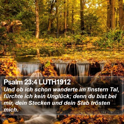 Psalm 23:4 LUTH1912 Bible Verse Image