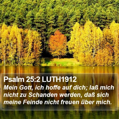 Psalm 25:2 LUTH1912 Bible Verse Image