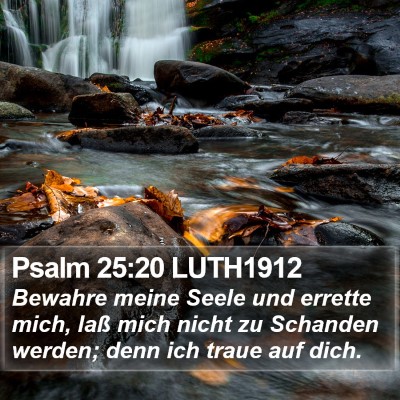 Psalm 25:20 LUTH1912 Bible Verse Image
