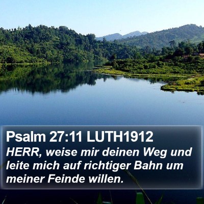 Psalm 27:11 LUTH1912 Bible Verse Image