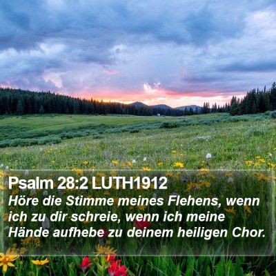 Psalm 28:2 LUTH1912 Bible Verse Image