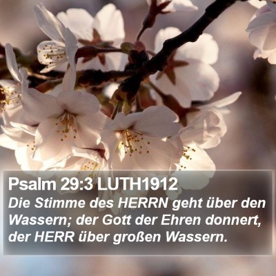 Psalm 29:3 LUTH1912 Bible Verse Image