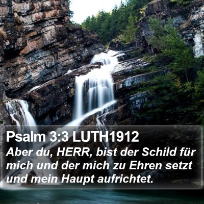 Psalm 3:3 LUTH1912 Bible Verse Image