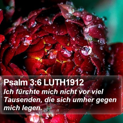 Psalm 3:6 LUTH1912 Bible Verse Image