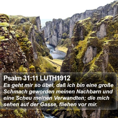 Psalm 31:11 LUTH1912 Bible Verse Image