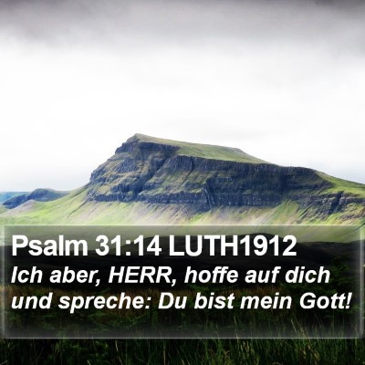 Psalm 31:14 LUTH1912 Bible Verse Image