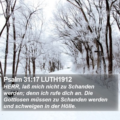 Psalm 31:17 LUTH1912 Bible Verse Image