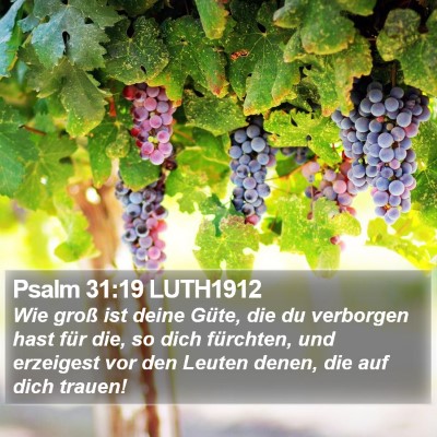 Psalm 31:19 LUTH1912 Bible Verse Image
