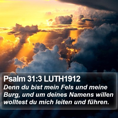 Psalm 31:3 LUTH1912 Bible Verse Image