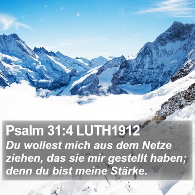 Psalm 31:4 LUTH1912 Bible Verse Image