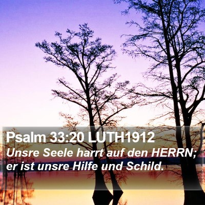 Psalm 33:20 LUTH1912 Bible Verse Image