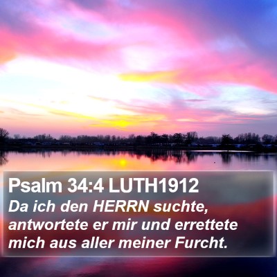 Psalm 34:4 LUTH1912 Bible Verse Image