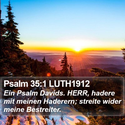 Psalm 35:1 LUTH1912 Bible Verse Image