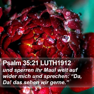 Psalm 35:21 LUTH1912 Bible Verse Image