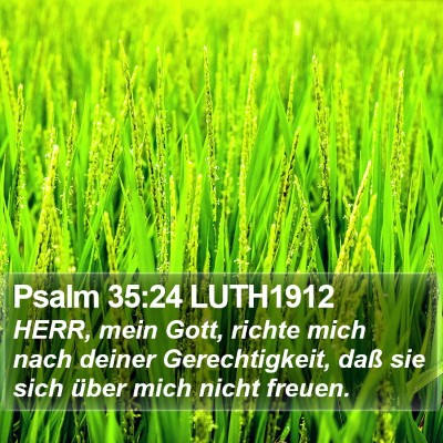 Psalm 35:24 LUTH1912 Bible Verse Image
