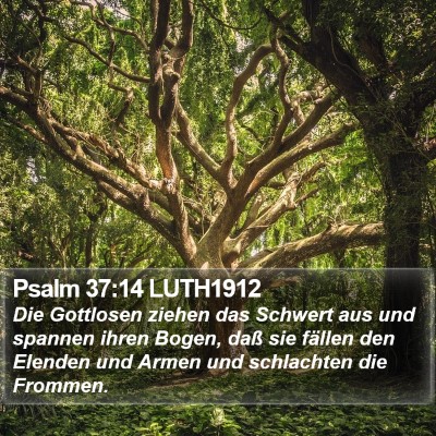 Psalm 37:14 LUTH1912 Bible Verse Image